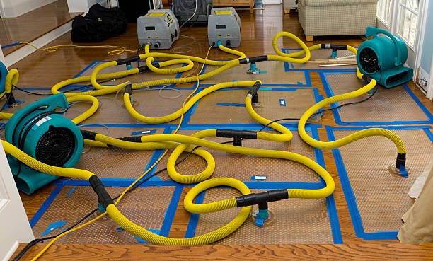 Professional Burst Pipe Water Damage technician working in Williamson, WV